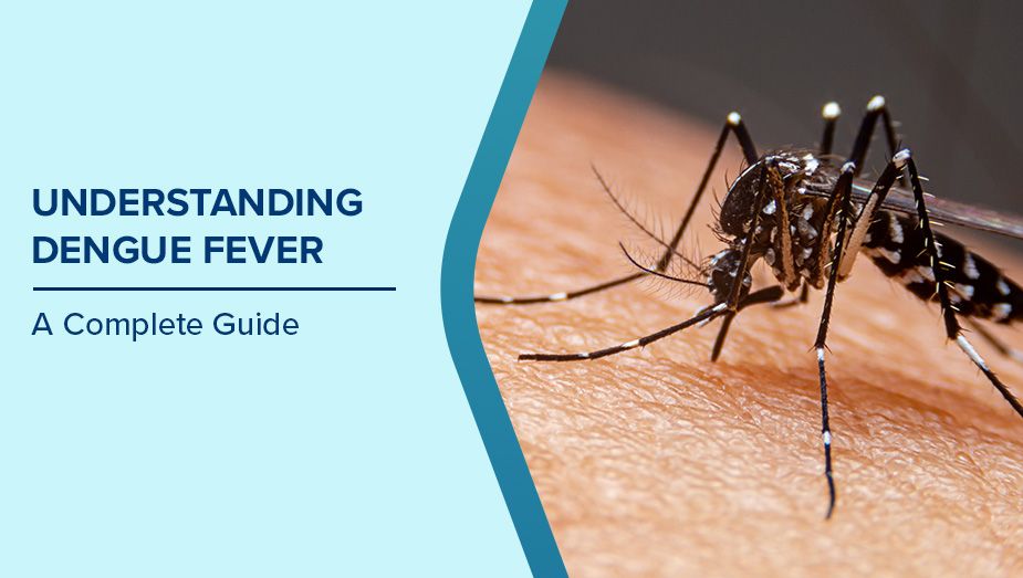 Dengue Season: How to Protect Your Family
